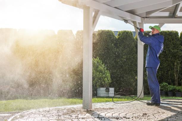 Animal Enclosure Cleaning in Niagara University, NY